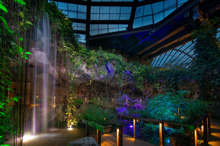 Garden Glow- A Magical Night-time Journey Through Light, Nature, and Wonder